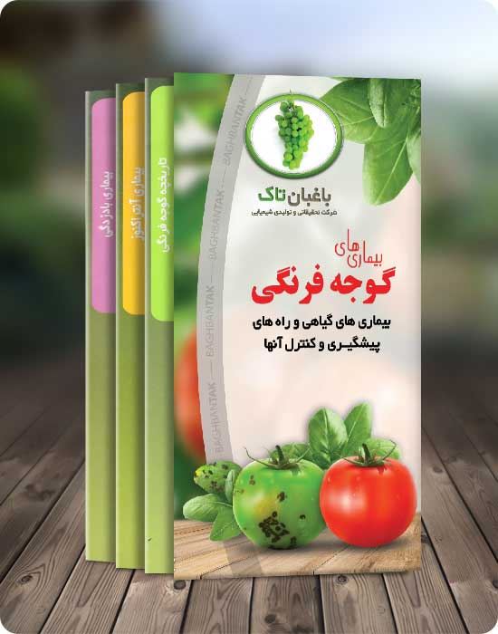 tomato2